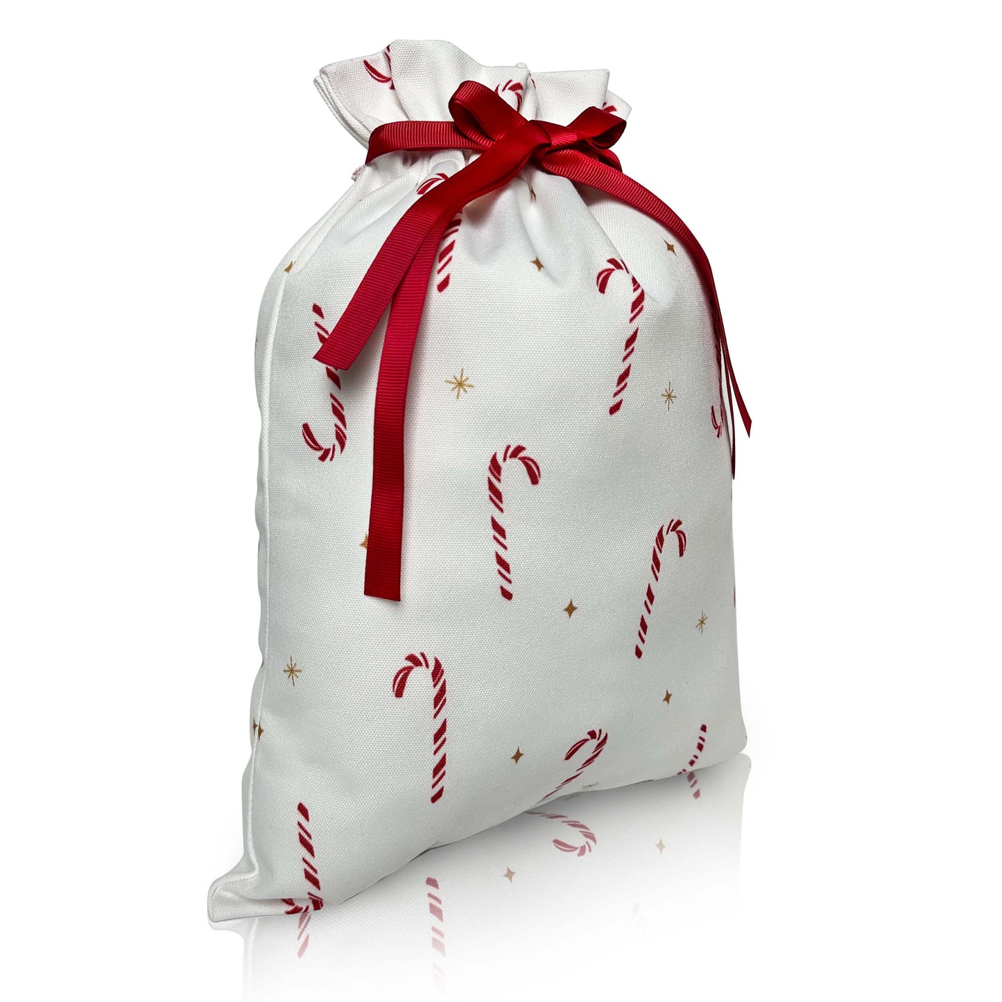 Candy Cane Lane Gift Bag