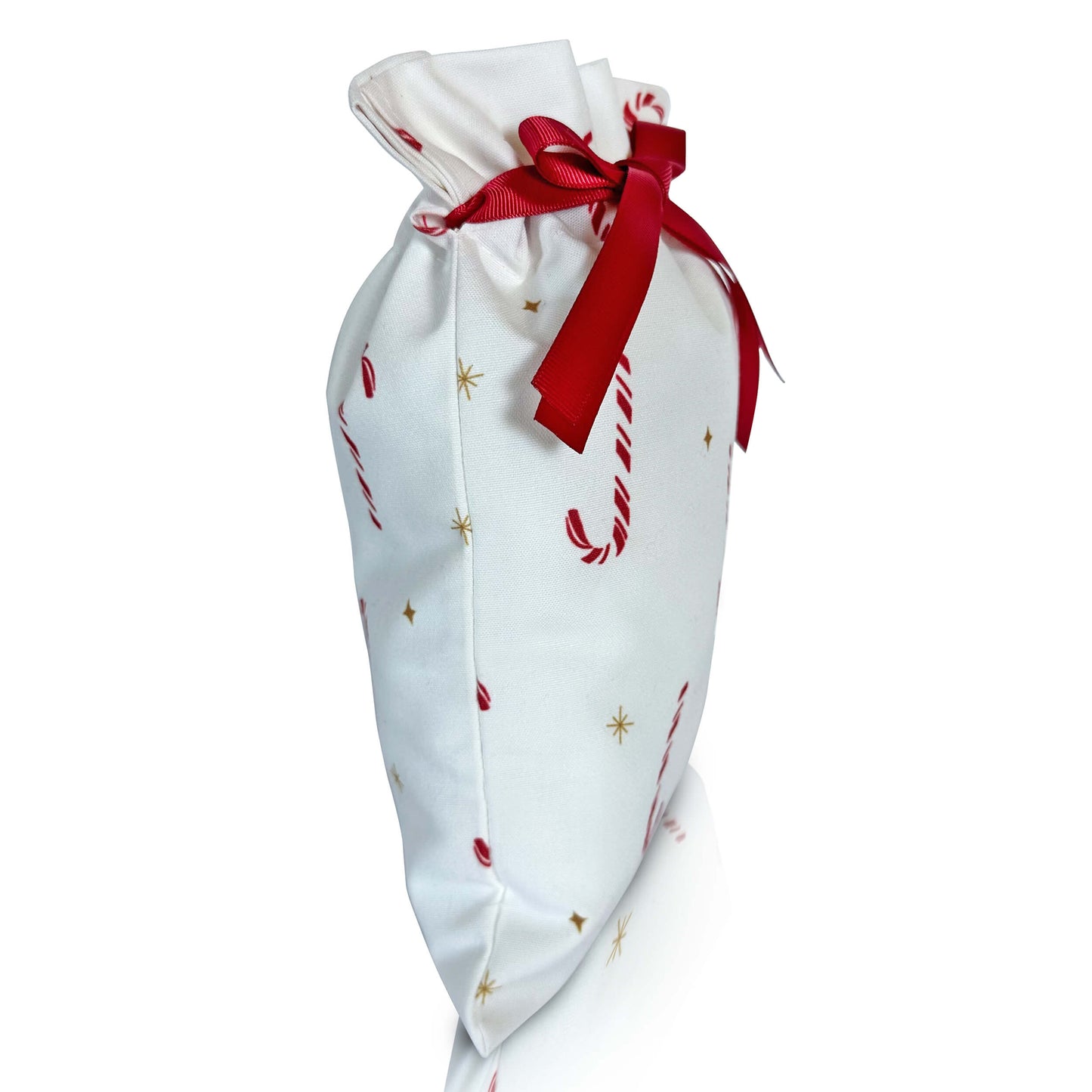 Candy Cane Lane Gift Bag